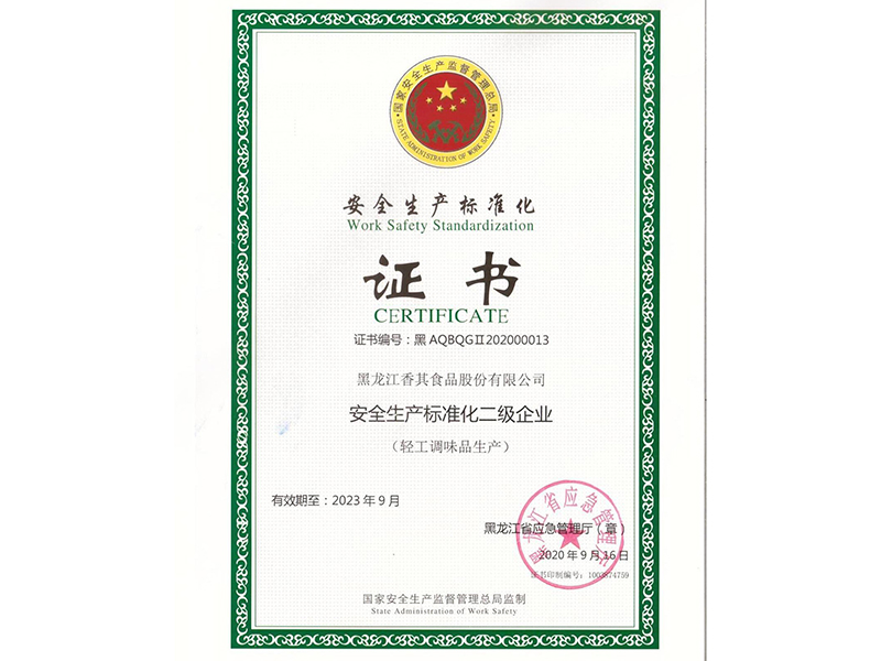安全生產(chǎn)標(biāo)準(zhǔn)化二級企業(yè)證書